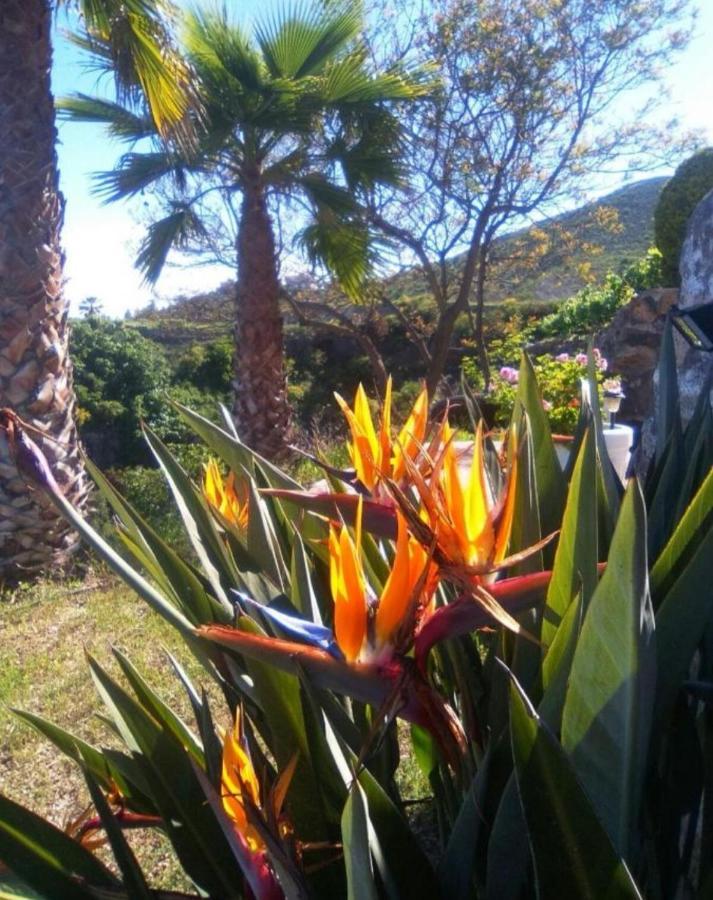 La Casita Ma Petite Folie Tenerife Санта Крус де Тенерифе Екстериор снимка