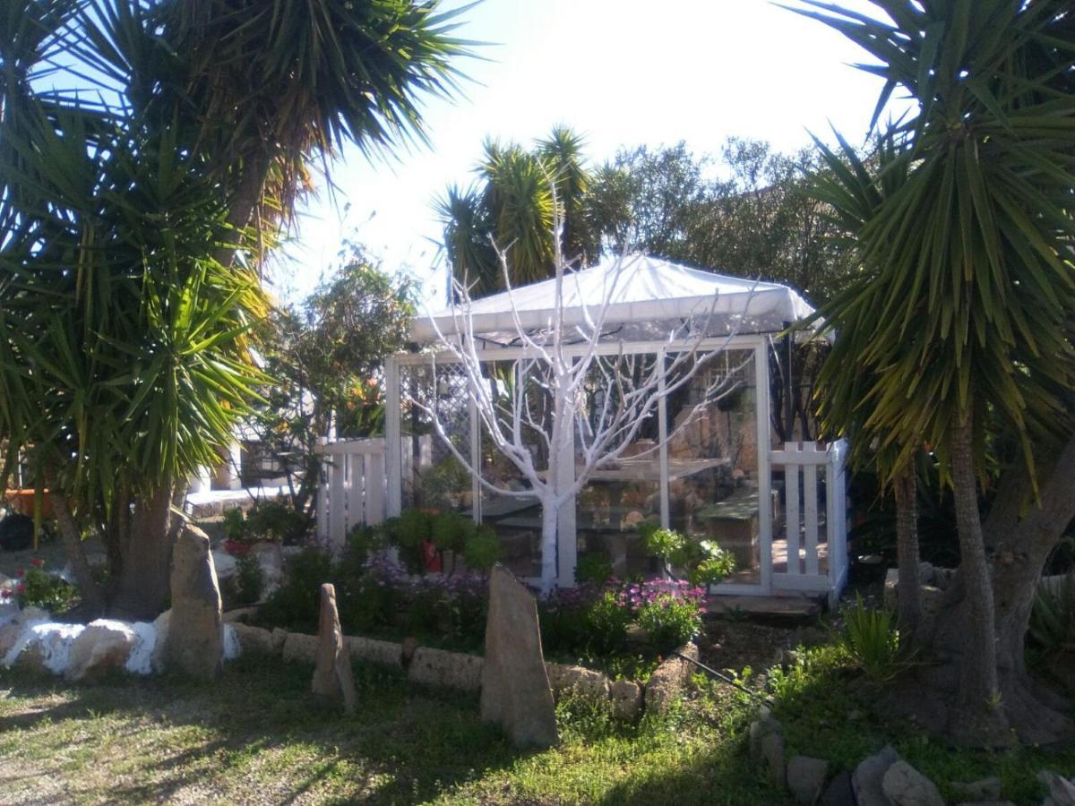 La Casita Ma Petite Folie Tenerife Санта Крус де Тенерифе Екстериор снимка