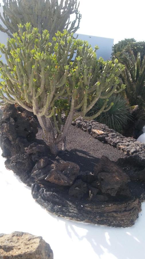 La Casita Ma Petite Folie Tenerife Санта Крус де Тенерифе Екстериор снимка